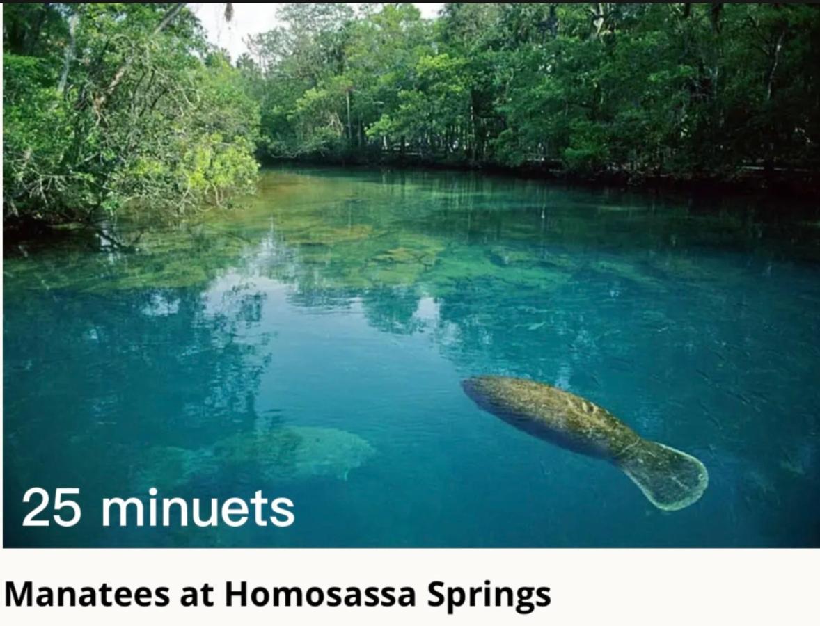 Bonne Nuit Weeki Wachee Vila Exterior foto